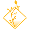 Visit Cappadocia logo